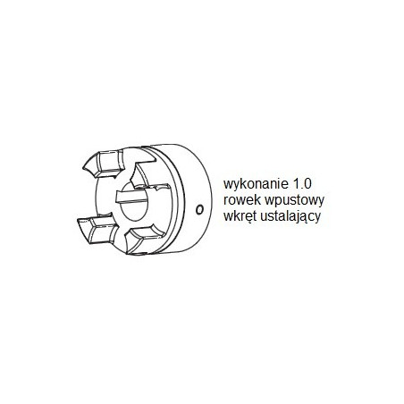 Piasta kłowa ROTEX GS14 fi6 wyk. 1.0