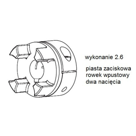 Piasta kłowa ROTEX GS19 fi12 wyk. 2.6