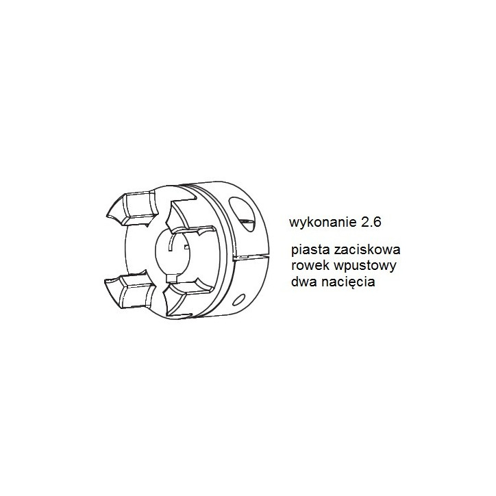 Piasta kłowa ROTEX GS19 fi20 wyk. 2.6