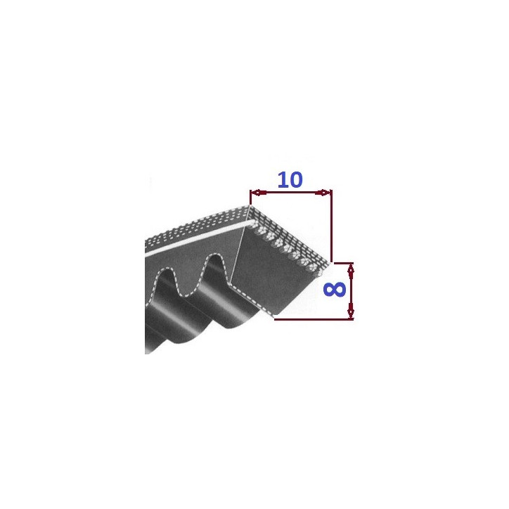 Pas klinowy AVX10 613 OPTIBELT