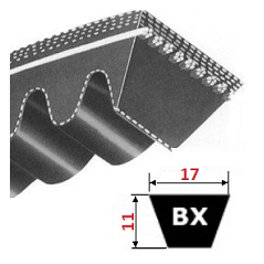 Pas klinowy BX1925 Lp, X17x1925, Conti